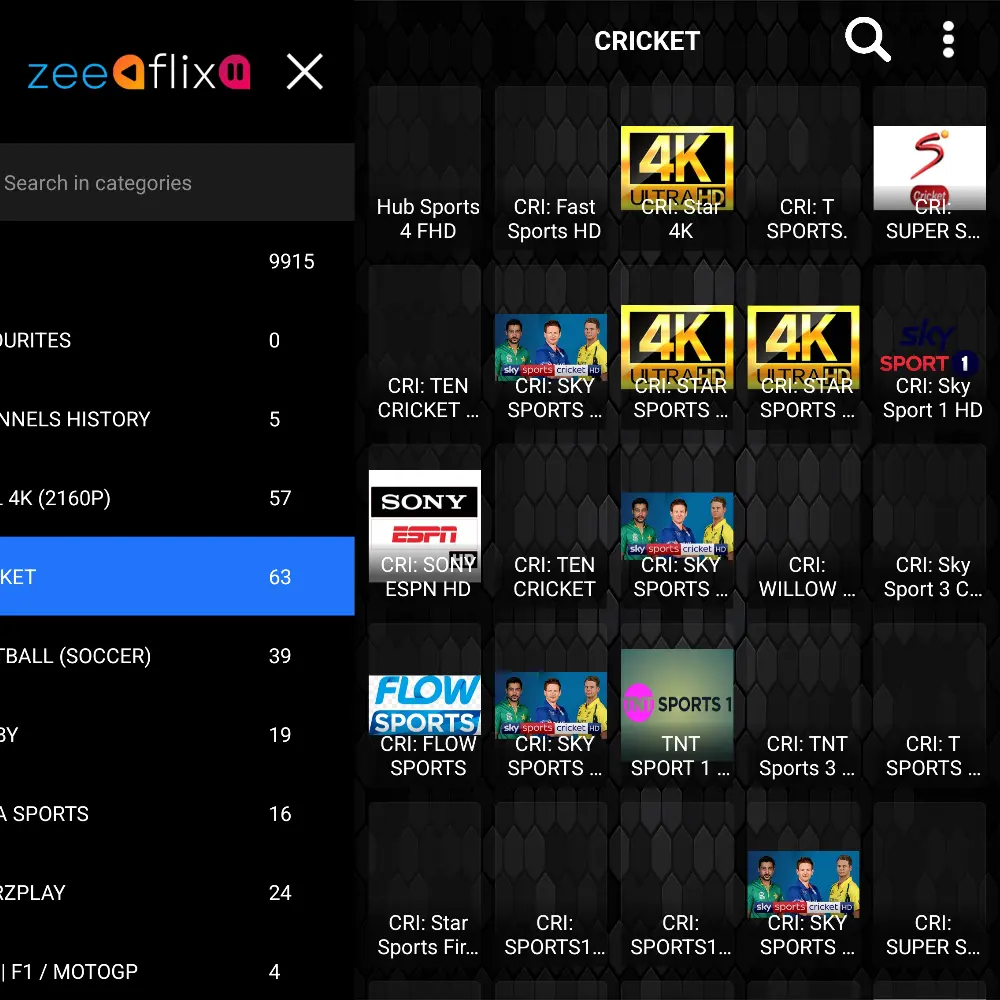 ZEEFLIX PLAYER 4